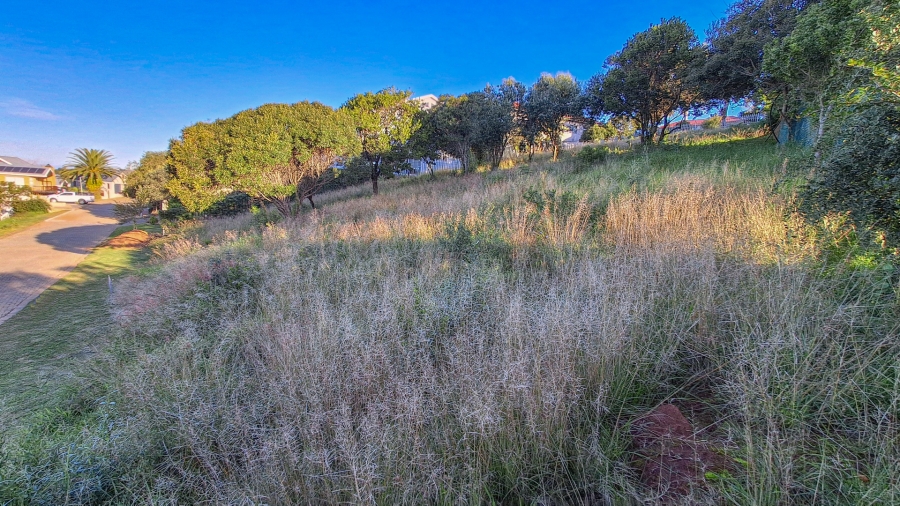0 Bedroom Property for Sale in Bergsig Western Cape